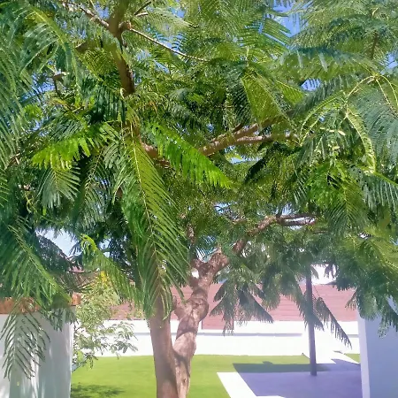 Colorado With Garden #4 Appartement